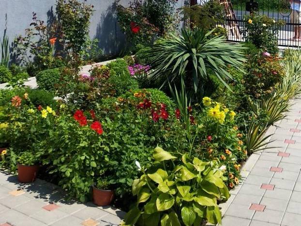 Vila Mila Riverside Apartments Smederevo Luaran gambar