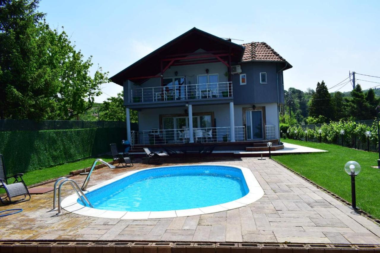 Vila Mila Riverside Apartments Smederevo Luaran gambar